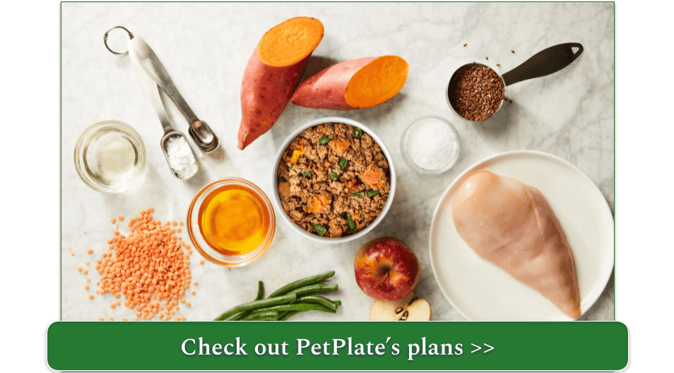 a fresh petplate meal surrounded by ingredients