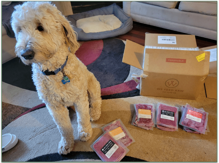 Our reviewers dog sitting next to We Feed Raw packages