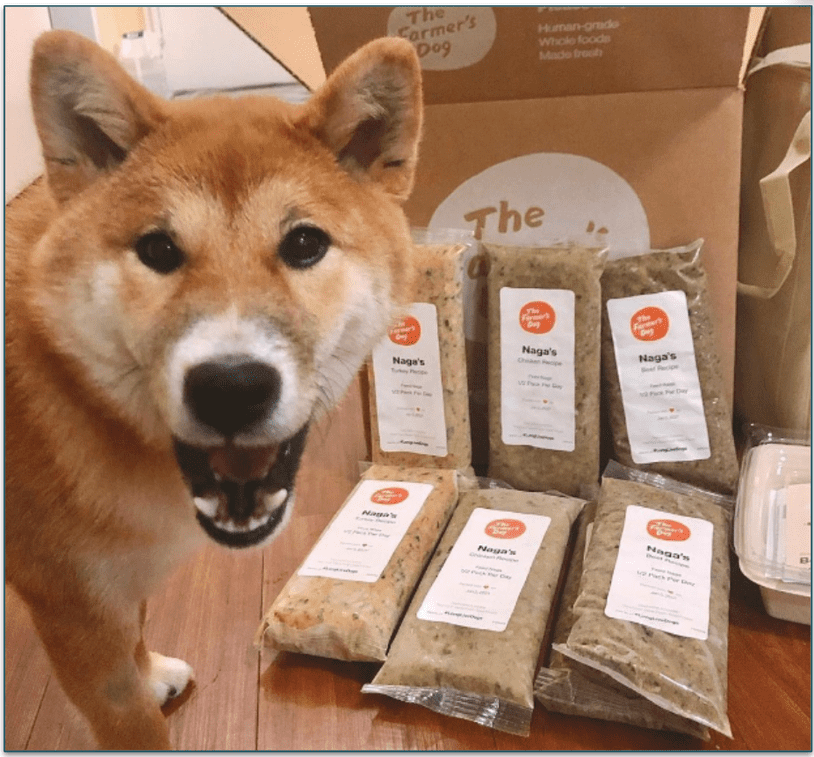 A dog next to The Farmer's Dog's recipes