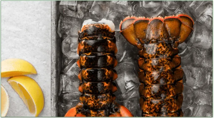 Rastelli's wild caught lobster tails over ice with some lemon wedges
