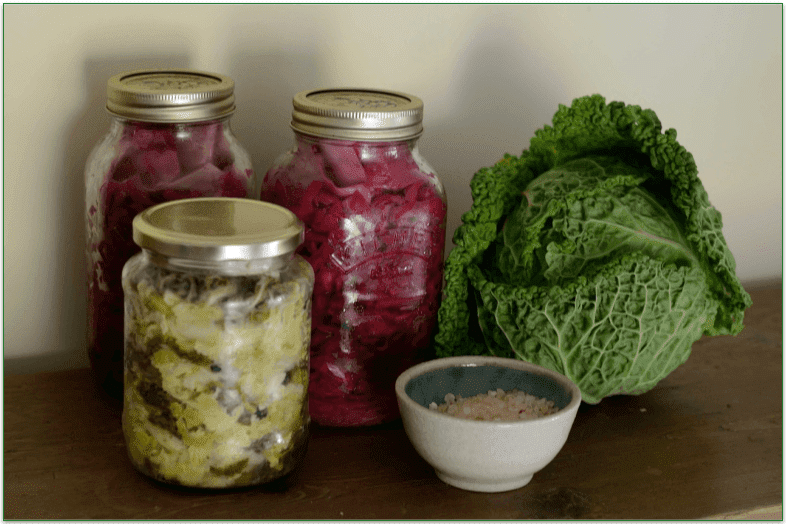 Fermented foods in jars and a cabbage