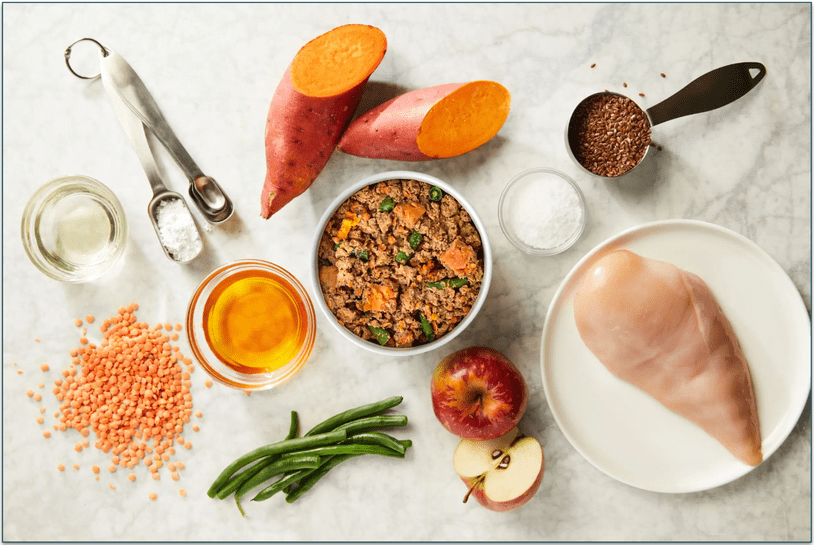 a fresh petplate meal surrounded by ingredients