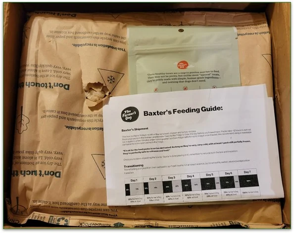 Interior of a package from The Farmer's Dog highlighting its recyclable insulation