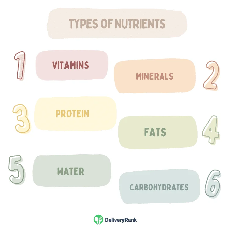 Infographic listing types of nutrients
