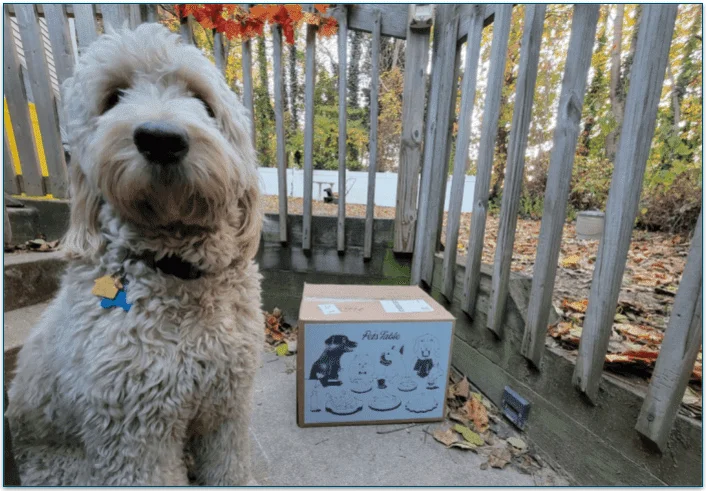 Baxter the Goldendoodle, sitting near The Pets Table delivery box on a porch