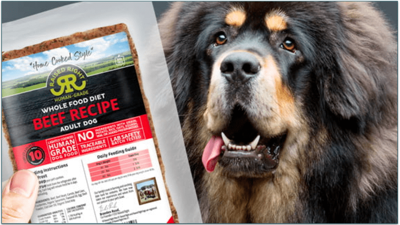 Raised Right's Beef Recipe and a hairy dog next to it