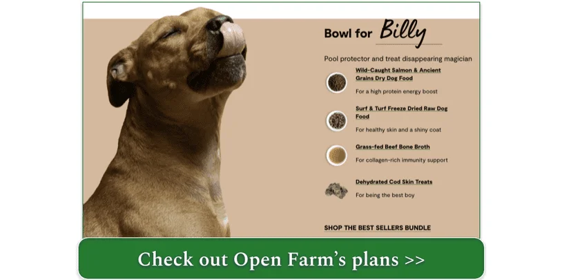 Billy licks his chops at his Open Farm Best Sellers Bundle selection