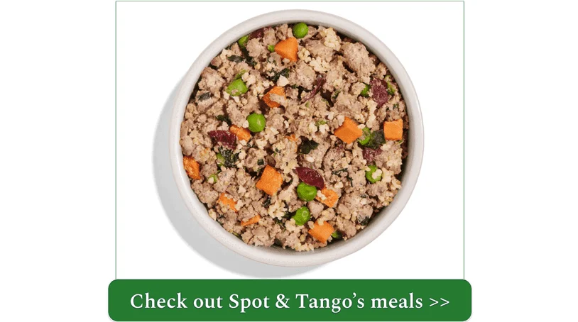 a picture of spot & tango's fresh beef recipe