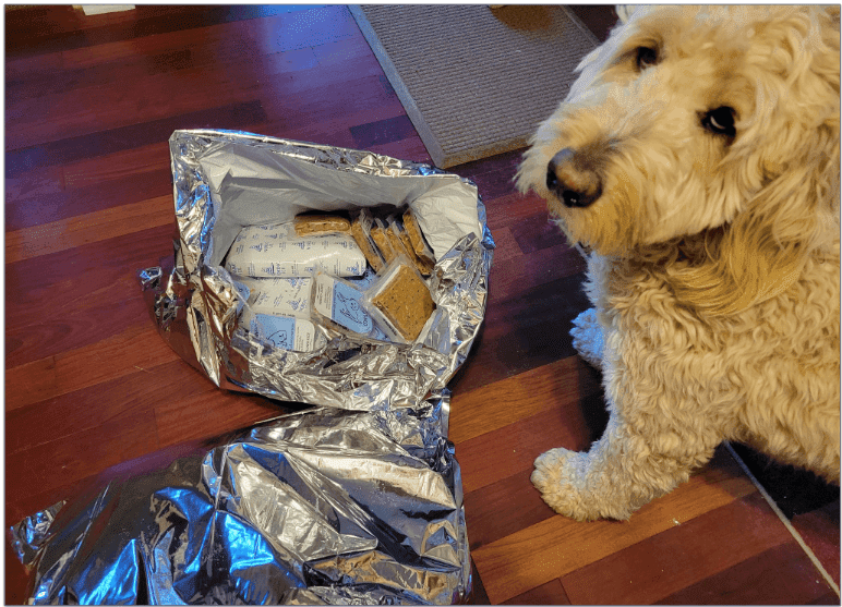 A goldendoodle standing next to an open silver pack of spot & tango fresh meals