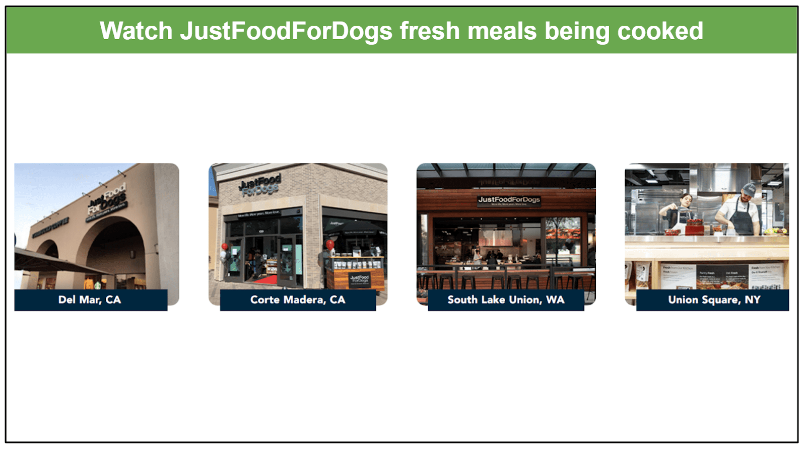 Food for dogs outlet del mar