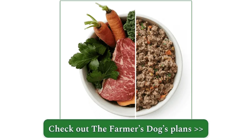 Half a bowl of The Farmer's Dog, half a bowl of fresh ingredients