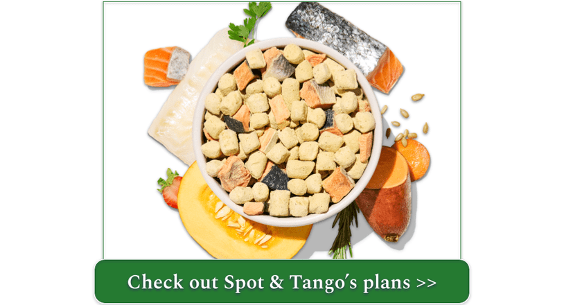 spot & tango’s cod and salmon unkibble in a bowl surrounded by 