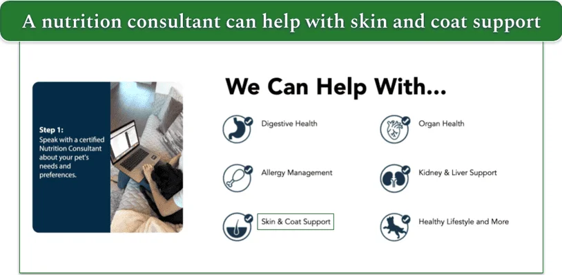 Screengrab of the areas JustFoodForDog’s Nutrition Consultants can help with