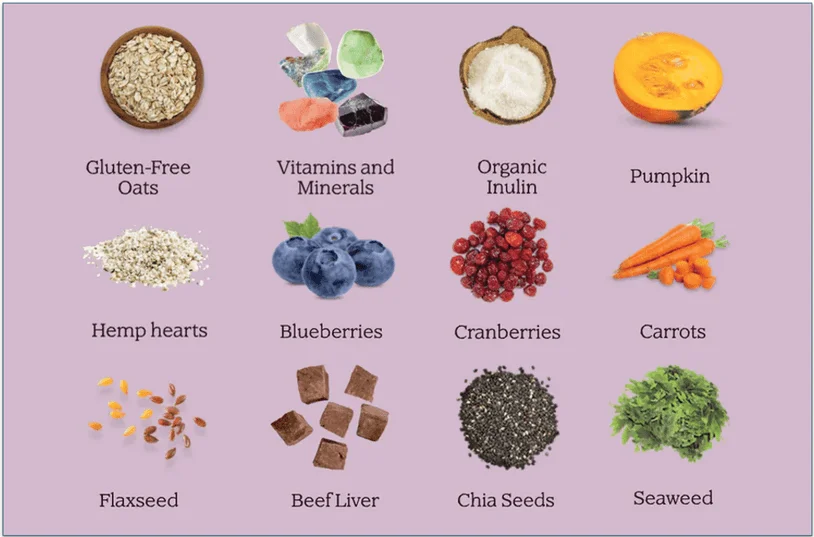 List and images of Yumwoof's superfood ingredients including blueberries and hemp hearts