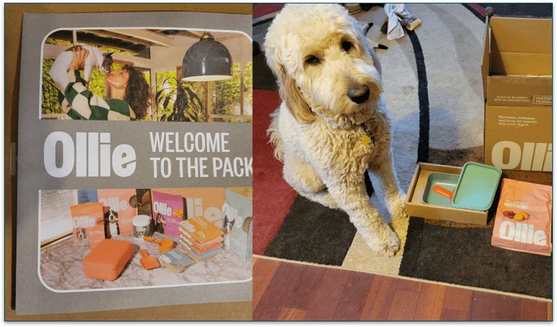 Photo of Ollie's Welcome Pack next to a photo of Baxter sitting next to Ollie's puptainer and food next to the Ollie delivery box