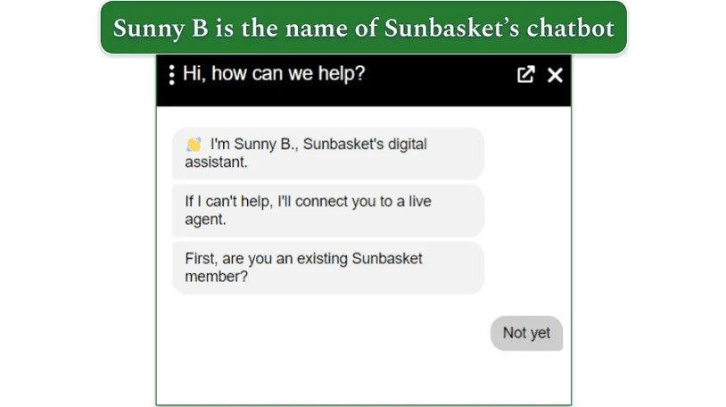 screenshot of Sunbasket's chatbot "Sunny B"