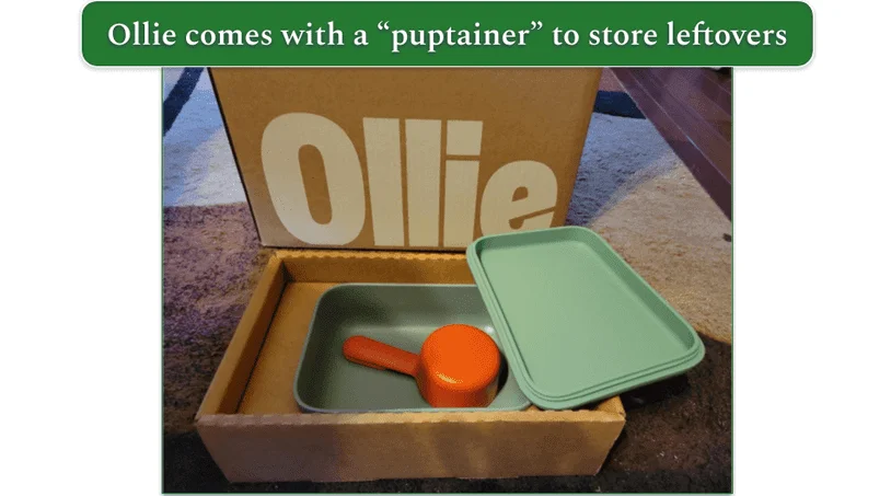 Unboxed Ollie delivery on the floor