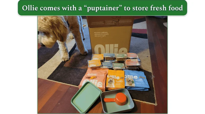 Unboxed Ollie delivery on the floor