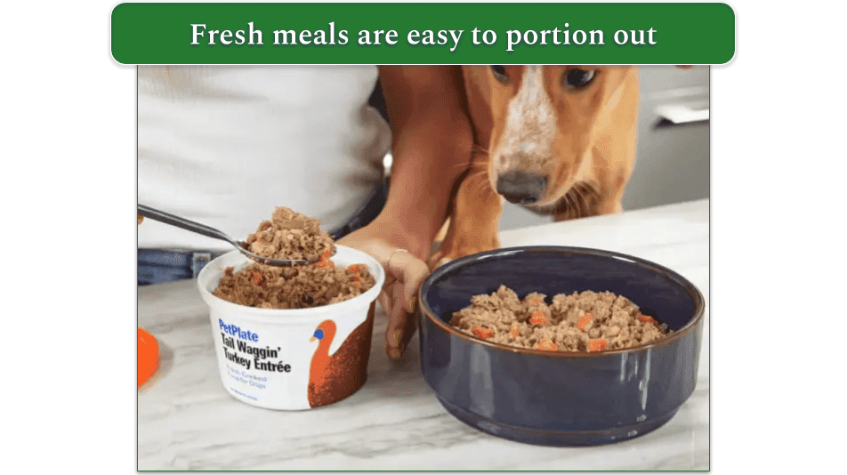 image of a person scooping a fresh petplate meal into a bowl