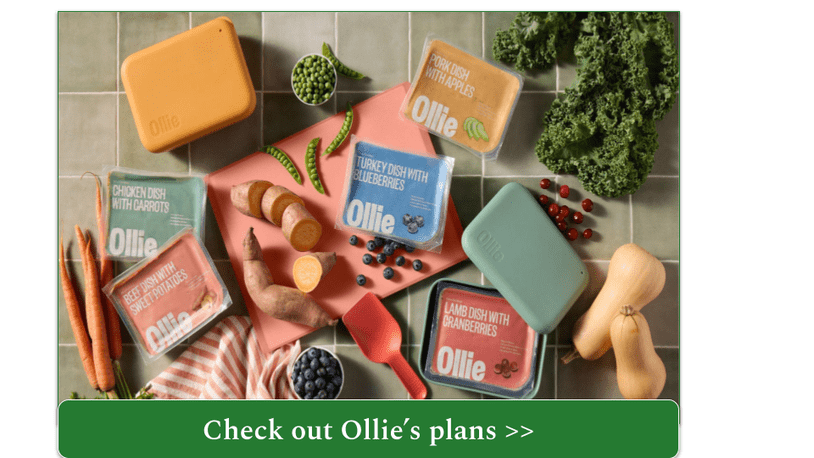 Selection of fresh Ollie meals