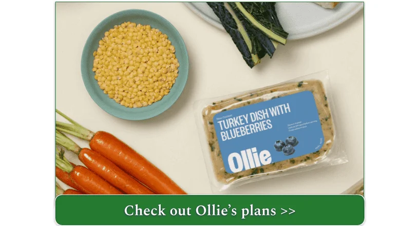 A picture of Ollie's Turkey Dish with Blueberries