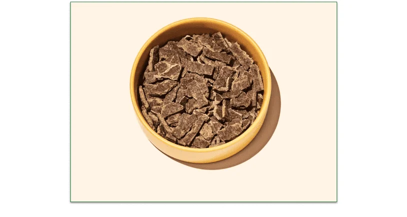 A bowl of Sundays' dog food