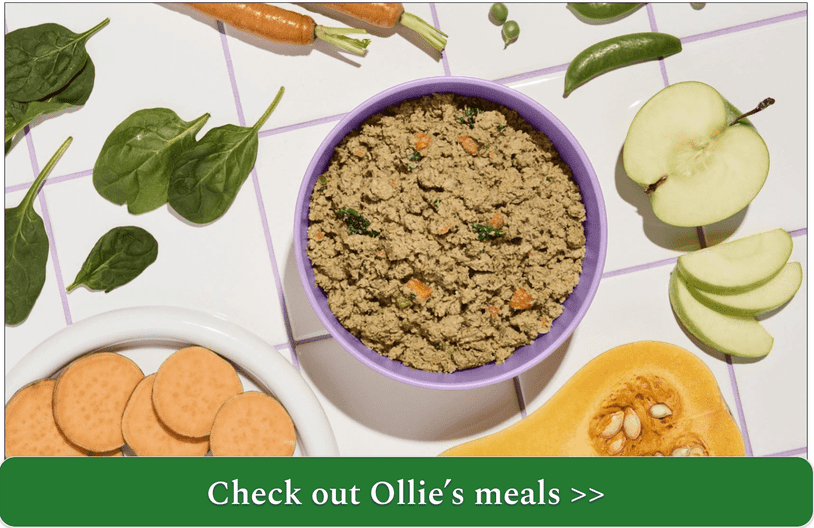 ollie fresh pork meal in a bowl surrounded by ingredients