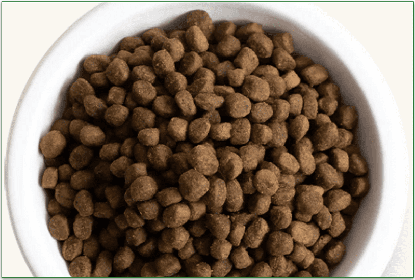Open Farm's Wild-Caught Salmon & Ancient Grains Dry Dog Food