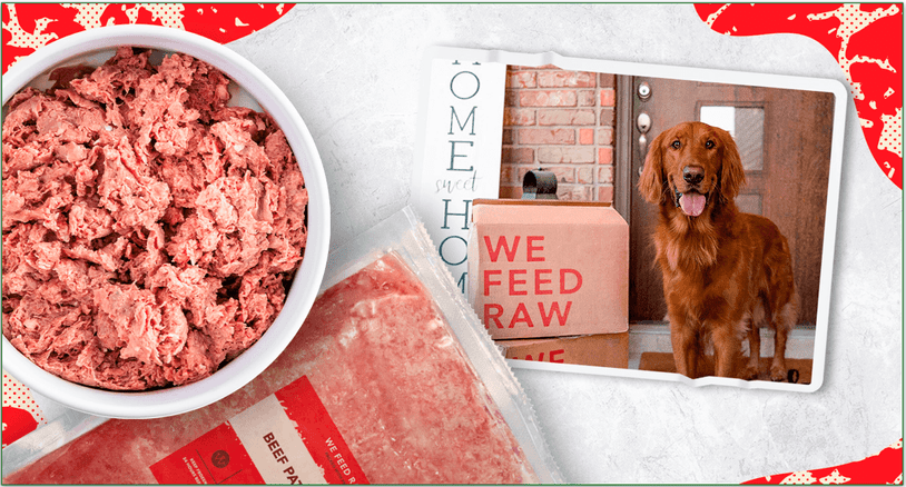 Beef Recipe by We Feed Raw