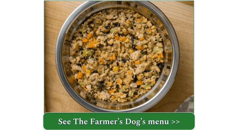 The Farmer's Dog's turkey recipe