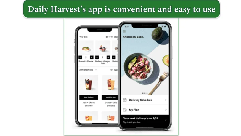 Image of the Daily Harvest app displayed on a phone screen