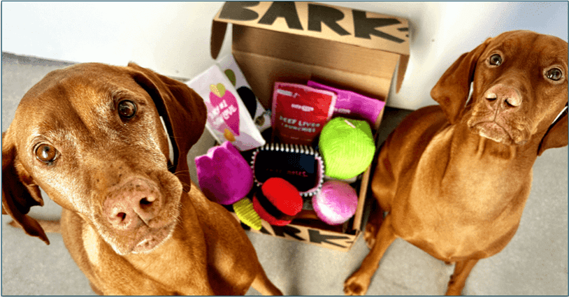 BarkBox ships during the first 2 weeks of the month