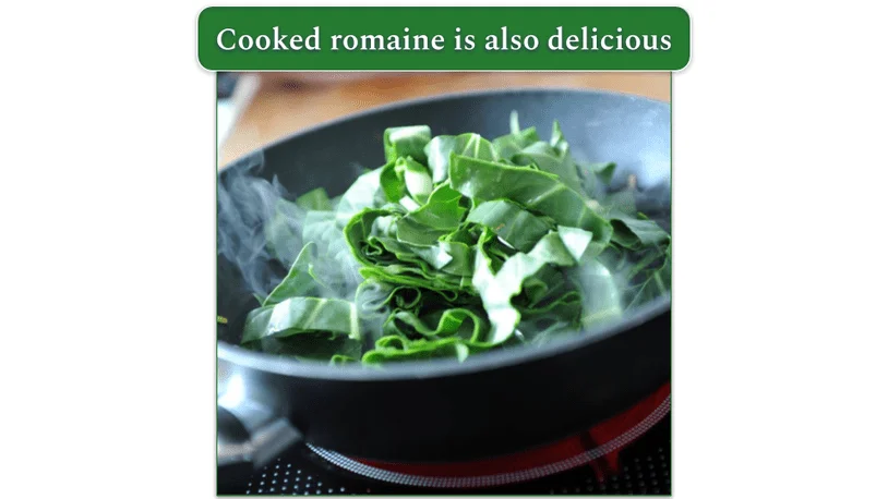 Chopped romaine leaves in a pan before sauteeing