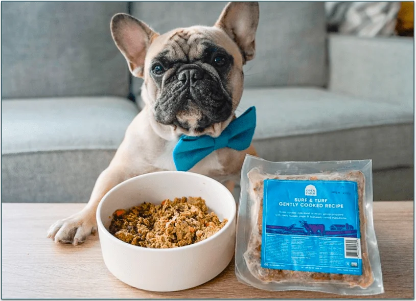A dog standing by the Open Farm gently-cooked meal