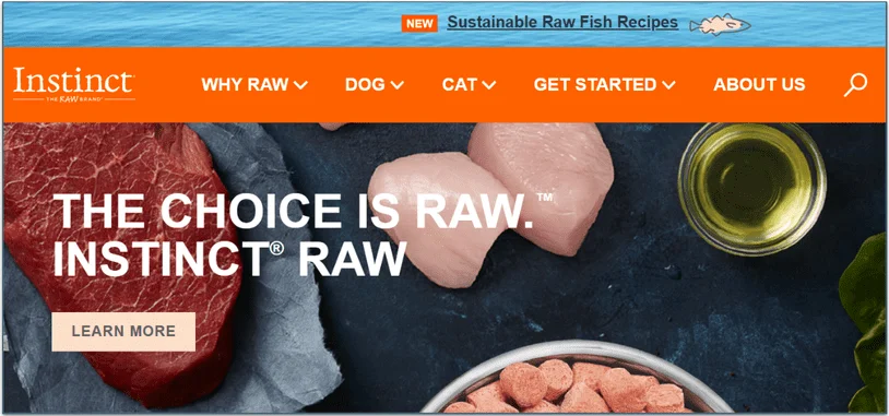 Instinct's home page