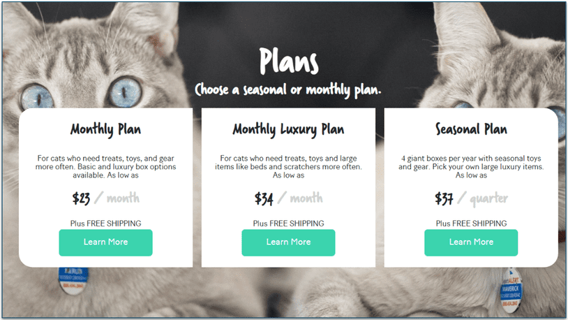 BoxCat plan options and prices