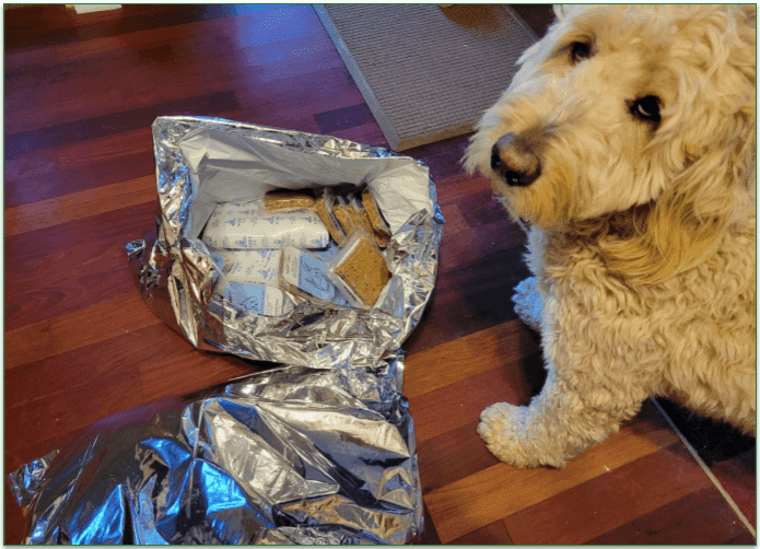 A goldendoodle standing next to an open bag of spot and tango fresh meals
