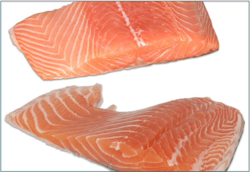  Salmon filets