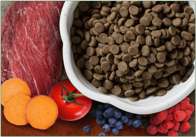 Chewy's Taste of the Wild High Prairie Grain-Free recipe