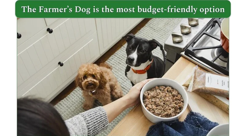 2 dogs waiting to be served The Farmer's Dog food