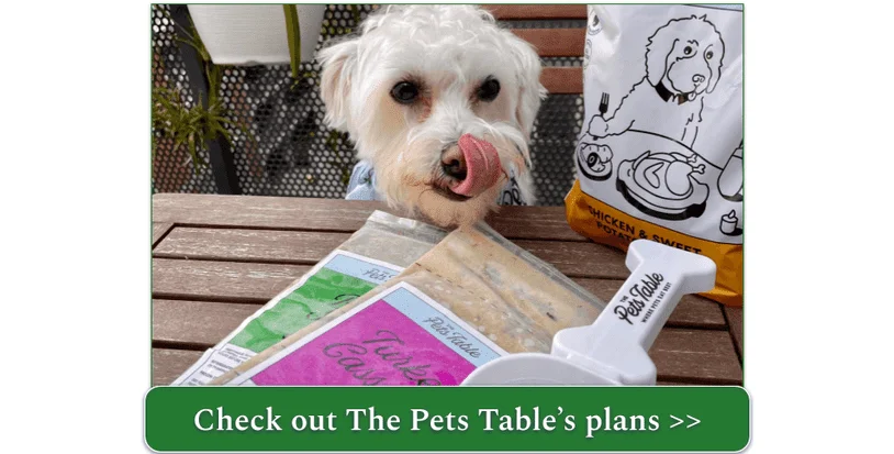 Billie the Picky Pup may be fussy, but she loves her meals from The Pets Table