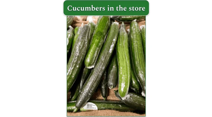 English cucumbers wrapped in a protective plastic wrapping