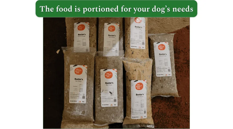Image of Farmer's Dog food packages out of the box