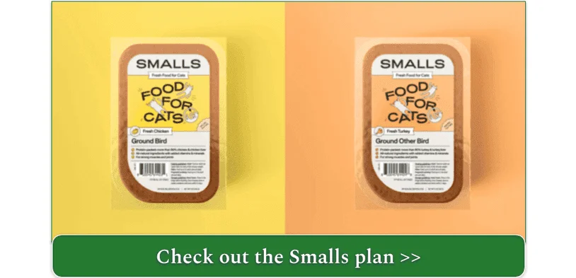 Ground Bird and Ground Other Bird Recipe by Smalls