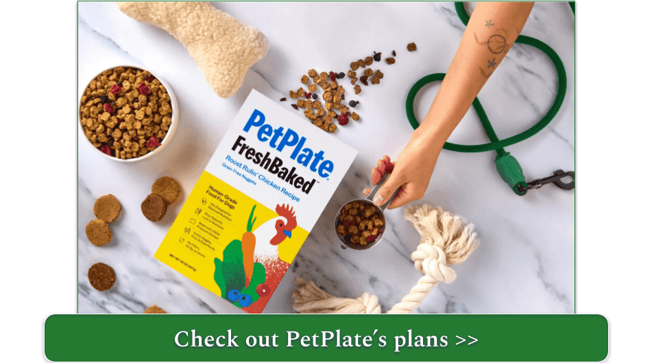 image of petplate's freshbaked chicken recipe in a box and served up in a bowl