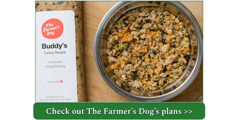 A bowl of The Farmer's Dog Turkey Recipe with a personalized pack beside it