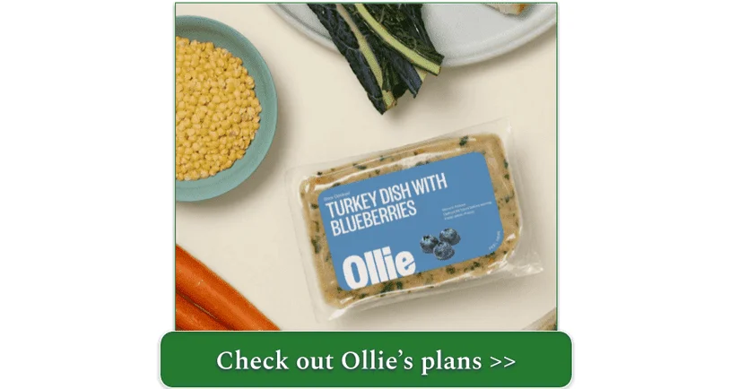 A package of Ollie's Turkey Dish with Blueberries surrounded by some of its ingredients like carrots and corn