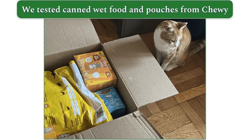 A ginger cat sits next to an open Chewy delivery