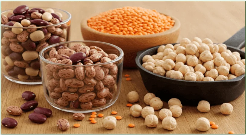 Most plant sources are incomplete proteins