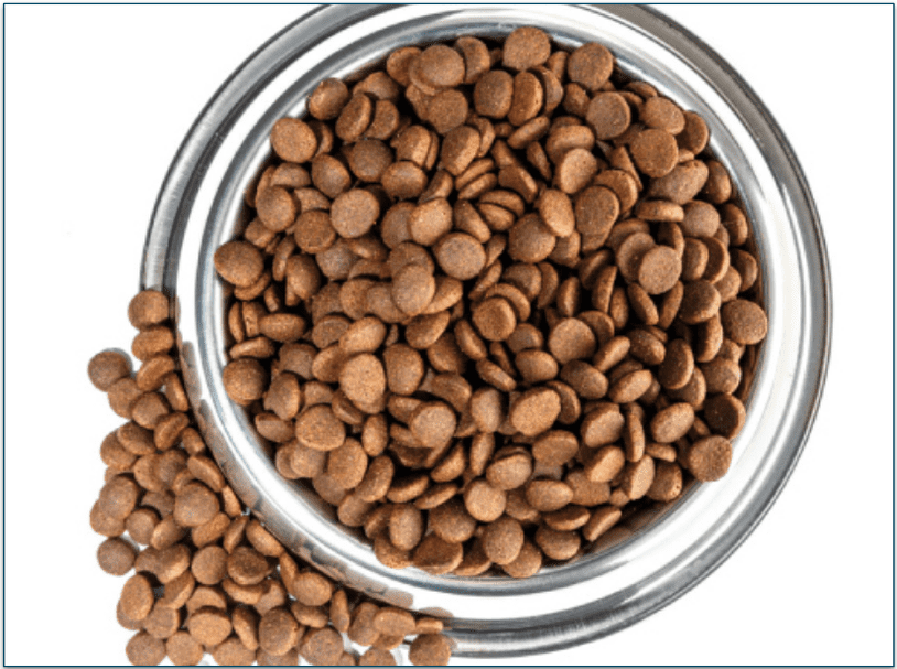 Raw Paws' Kibble served in a bowl